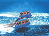 Фото Баллон буксируемый World of Watersports Zig Zag | Инномарт